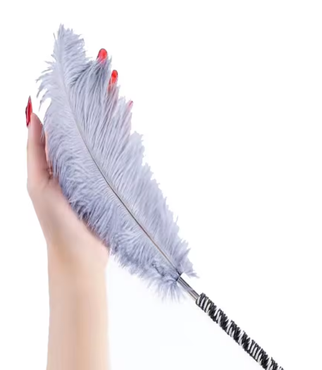 Plume coquine de caresse