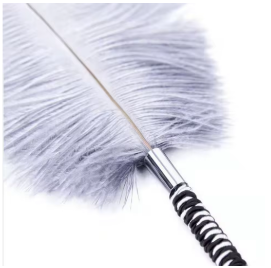 Plume coquine de caresse
