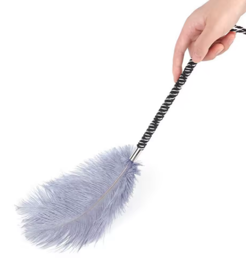 Plume coquine de caresse