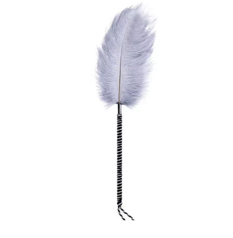 Plume coquine de caresse