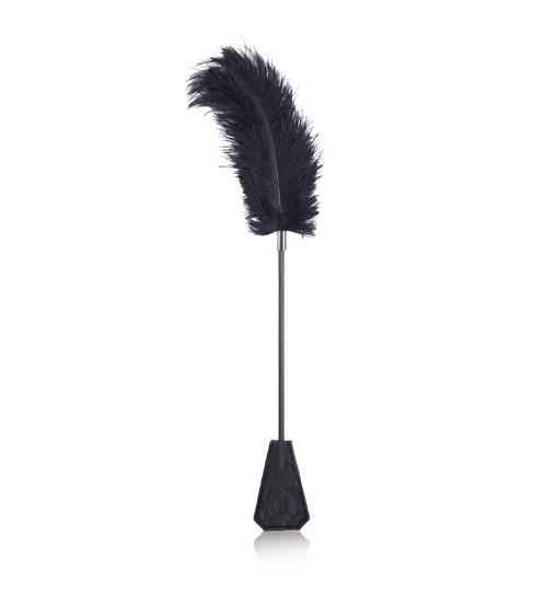 Cravache BDSM avec plume Caresse & punition sensuelle