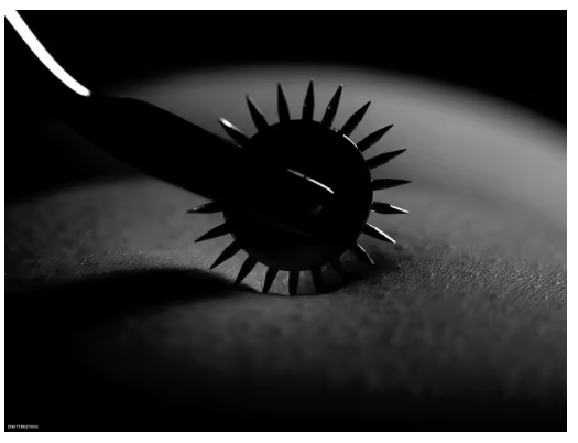 Candway – Roulette de Wartenberg en acier inoxydable Stimulateur BDSM, Jeu de rôle & Jouet érotique pour couples