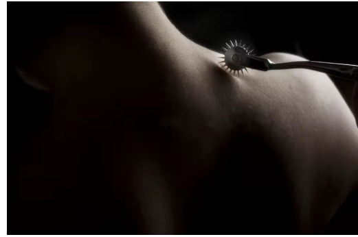 Candway – Roulette de Wartenberg en acier inoxydable Stimulateur BDSM, Jeu de rôle & Jouet érotique pour couples