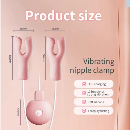 Pinces Vibrantes pour Seins 10 Modes de Vibration, Silicone Doux, Recharge USB Jeu Érotique et Préliminaires Sensuels